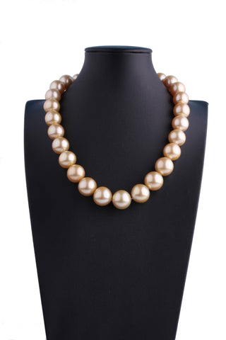 12.0-16.0mm Golden South Sea Pearl Necklace